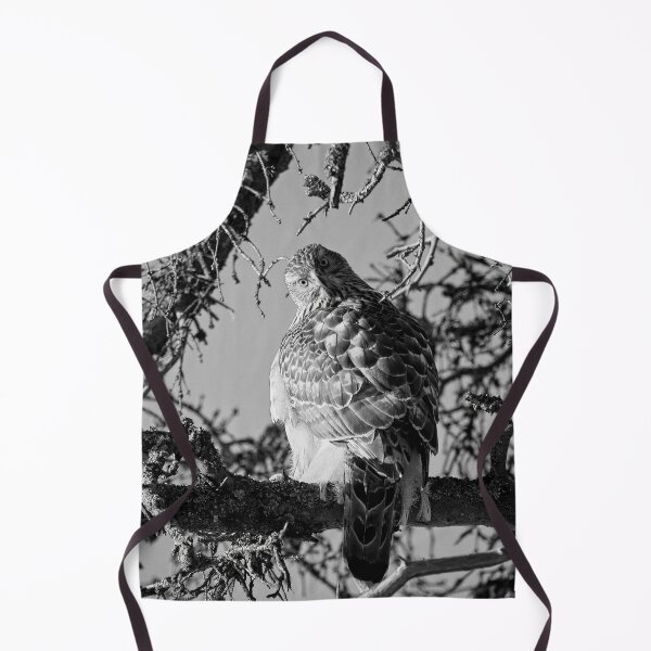 Item preview, Quo vadis. Eurasian goshawk bw designed and sold by Jouko Lehto Photography.