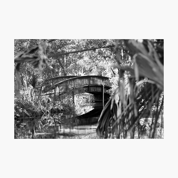 Item preview, JUNIPER SPRINGS designed and sold by Howard S Taylor.