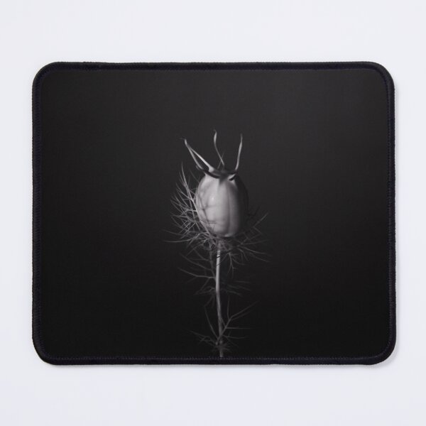 Item preview, Nigella damascena designed and sold by NIR1000.