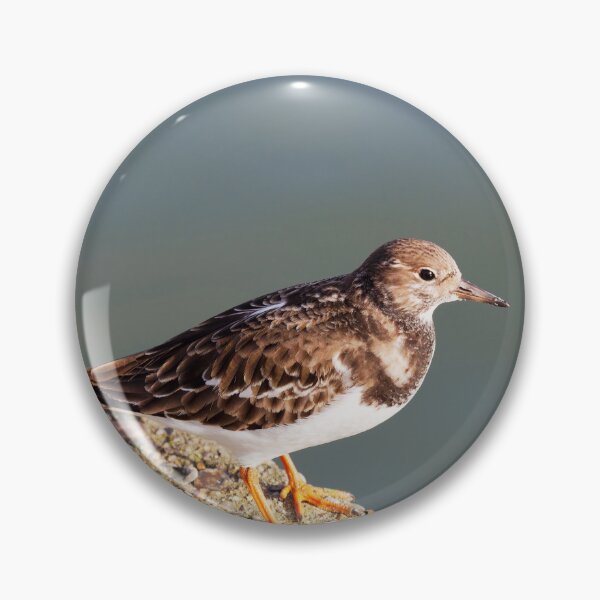Item preview, Turnstone at the Harbour designed and sold by Dorset Girl.