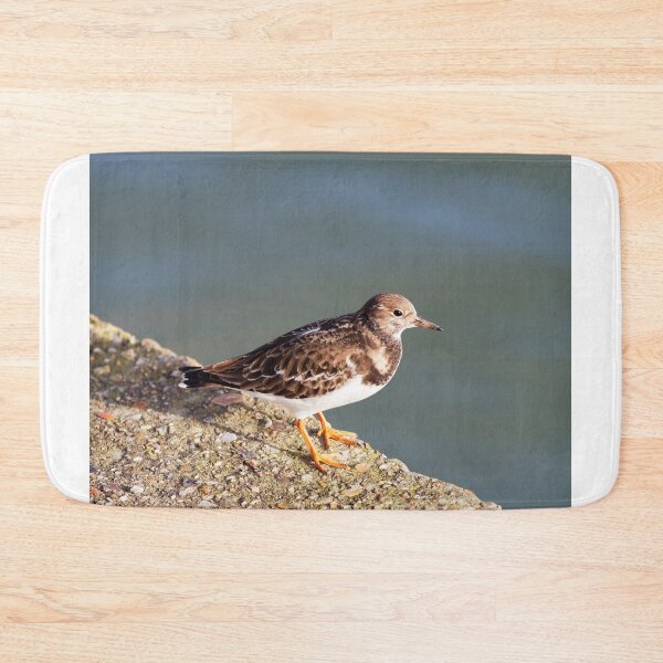 Item preview, Turnstone at the Harbour designed and sold by Dorset Girl.
