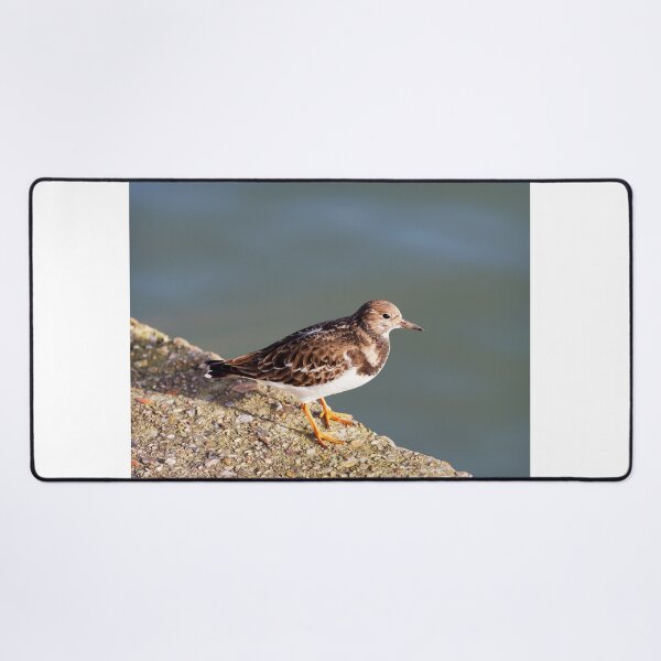 Item preview, Turnstone at the Harbour designed and sold by Dorset Girl.