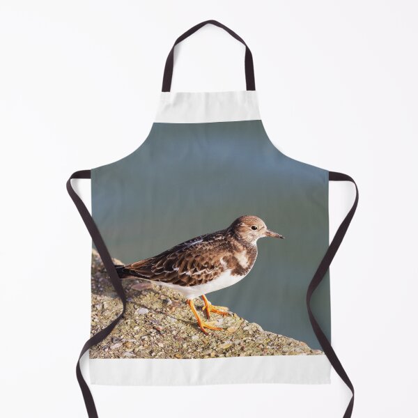 Item preview, Turnstone at the Harbour designed and sold by Dorset Girl.