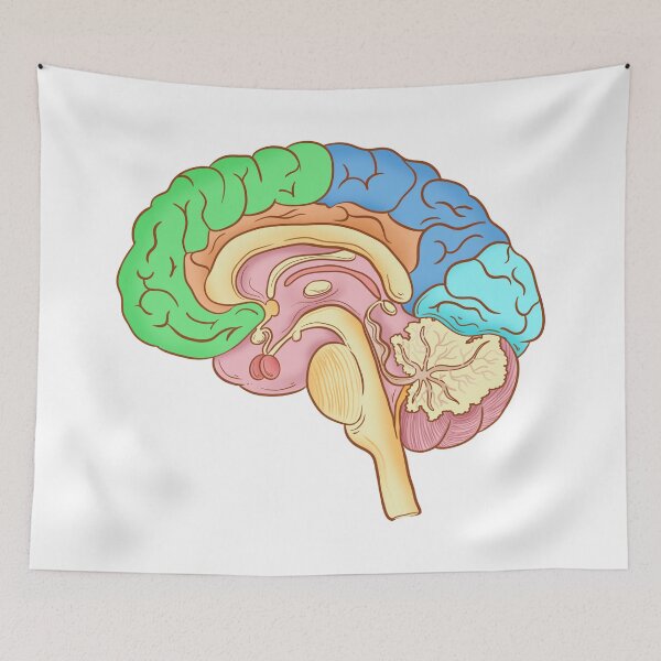 Item preview, You Matter designed and sold by STEM-women.