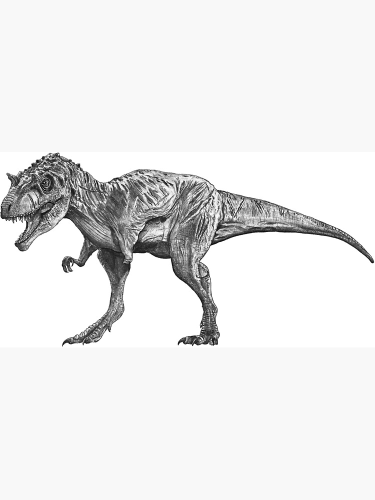 Primeval New World Albertosaurus