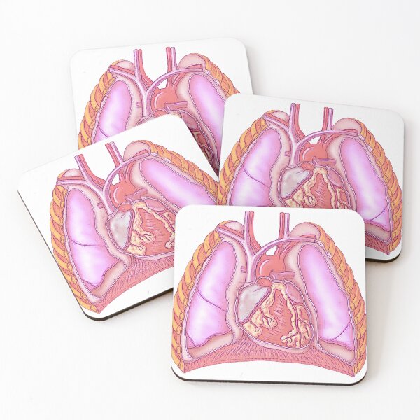 Item preview, Cardiothoracic designed and sold by STEM-women.