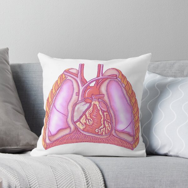 Item preview, Cardiothoracic designed and sold by STEM-women.
