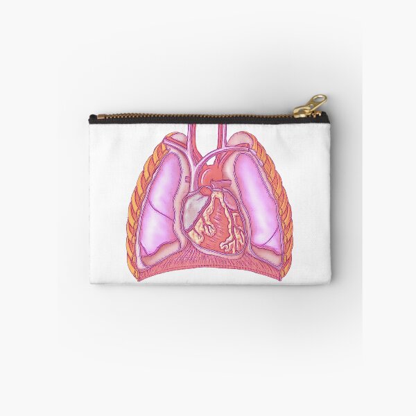 Item preview, Cardiothoracic designed and sold by STEM-women.