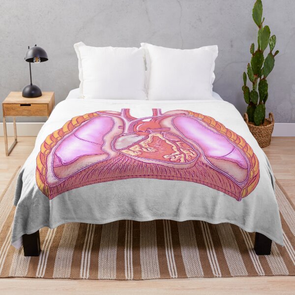 Item preview, Cardiothoracic designed and sold by STEM-women.