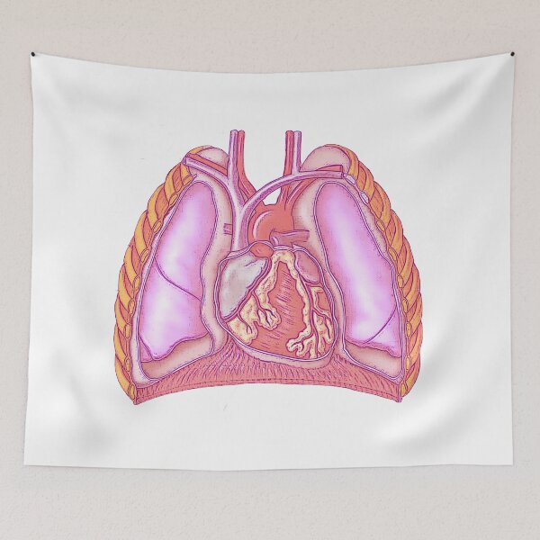Item preview, Cardiothoracic designed and sold by STEM-women.