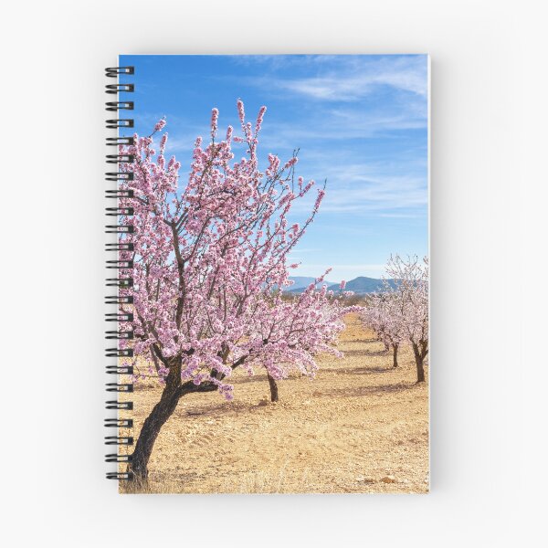 Item preview, Pinoso Almond Blossoms designed and sold by DiFigianoPhoto.