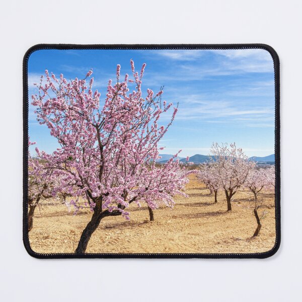 Item preview, Pinoso Almond Blossoms designed and sold by DiFigianoPhoto.