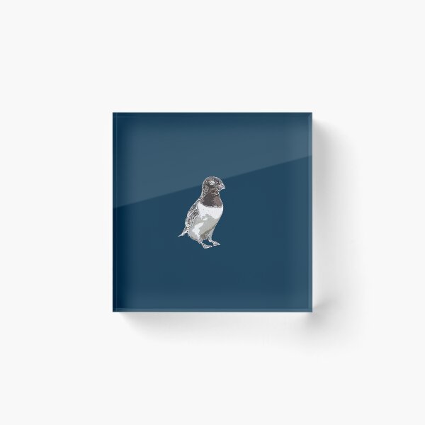 Item preview, Dovekie Little Auk White Alternate Design  designed and sold by designsasstultd.