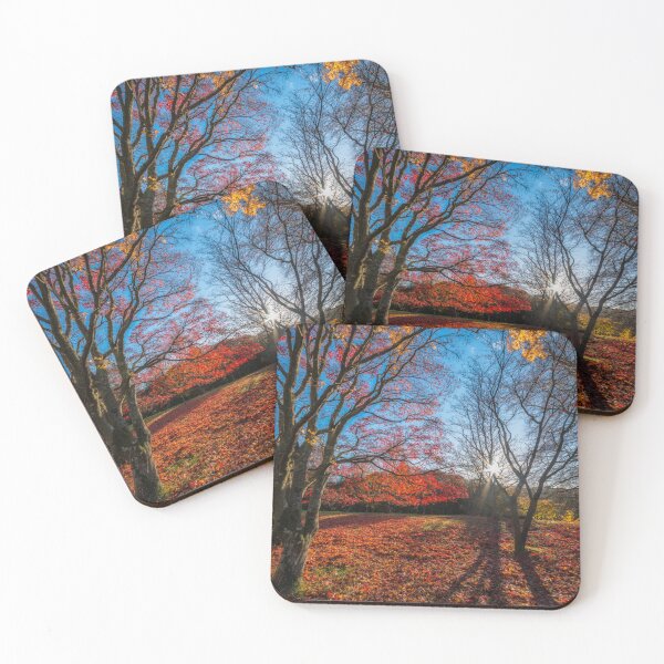 Item preview, Autumn Forest Shadows designed and sold by AJEvans.