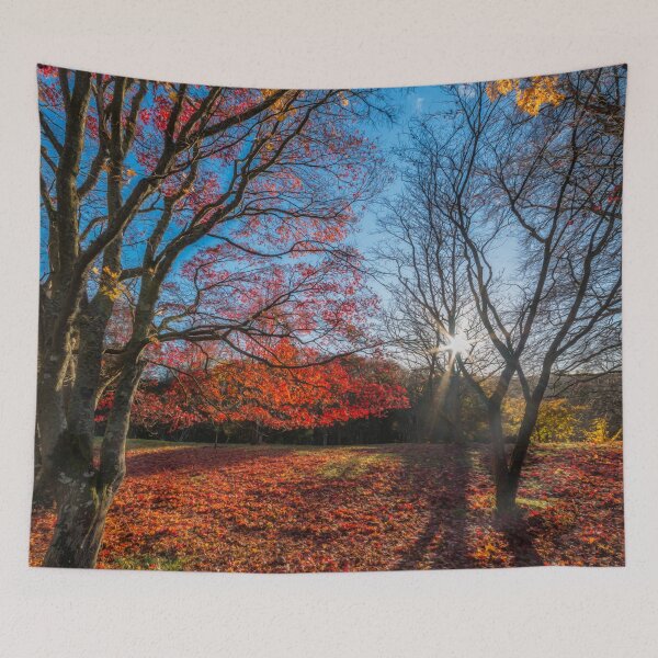 Aperçu de l'œuvre Ombres de la forêt d'automne créée et vendue par AJEvans.