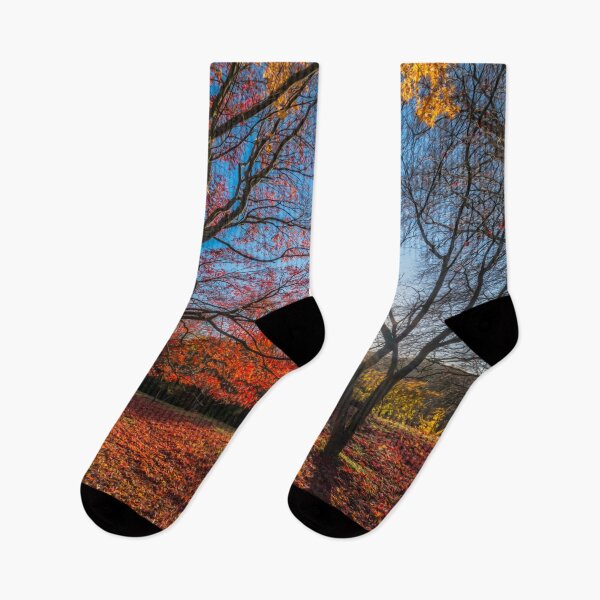 Aperçu de l'œuvre Ombres de la forêt d'automne créée et vendue par AJEvans.
