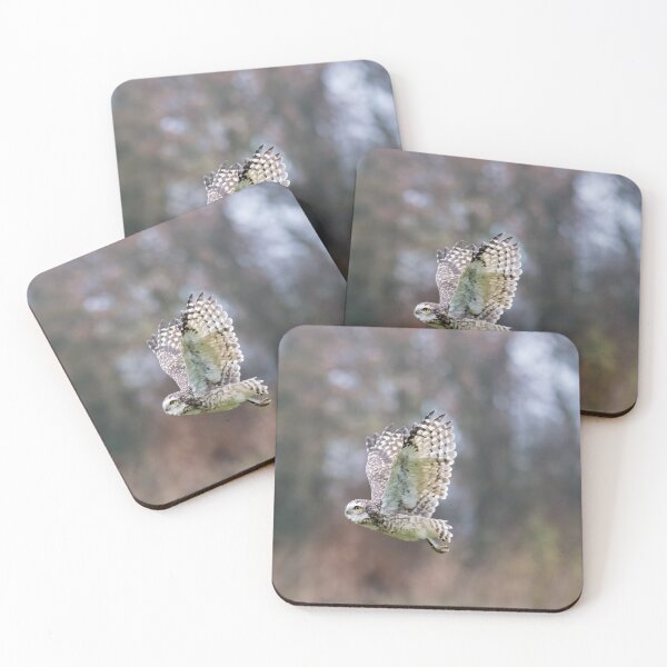 Item preview, Flying burrowing owl designed and sold by Margriet Photography .