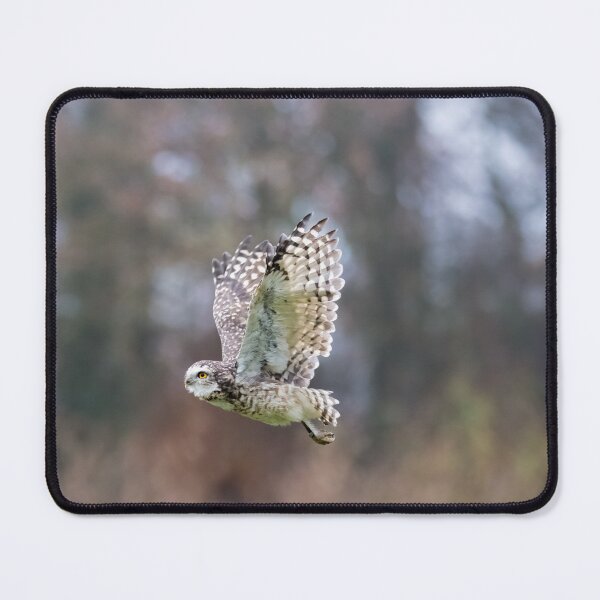 Item preview, Flying burrowing owl designed and sold by Margriet Photography .