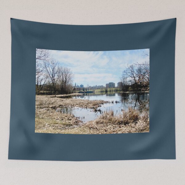Item preview, Reed beds in the Rideau River designed and sold by Shulie1.