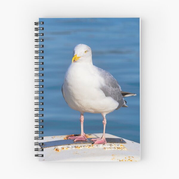 Item preview, Herring Gull - Larus argentatus designed and sold by Dorset Girl.