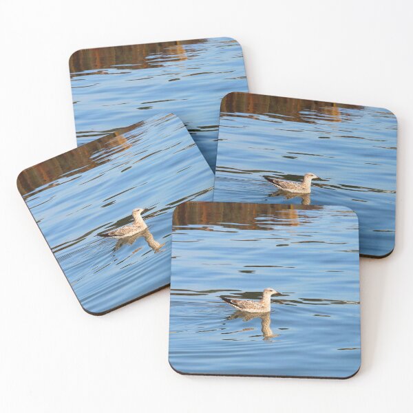 Item preview, Immature Herring Gull - Larus argentatus designed and sold by Dorset Girl.