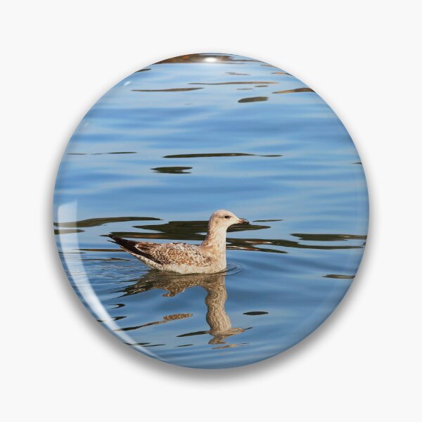 Item preview, Immature Herring Gull - Larus argentatus designed and sold by Dorset Girl.