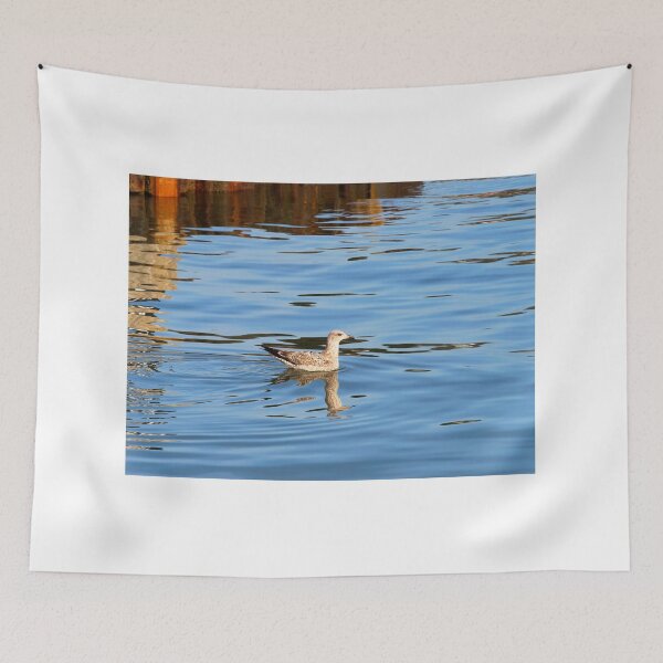 Item preview, Immature Herring Gull - Larus argentatus designed and sold by Dorset Girl.