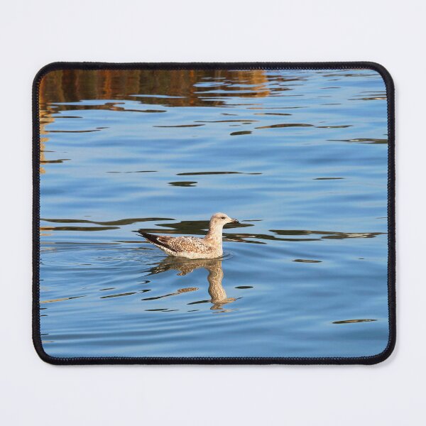 Item preview, Immature Herring Gull - Larus argentatus designed and sold by Dorset Girl.