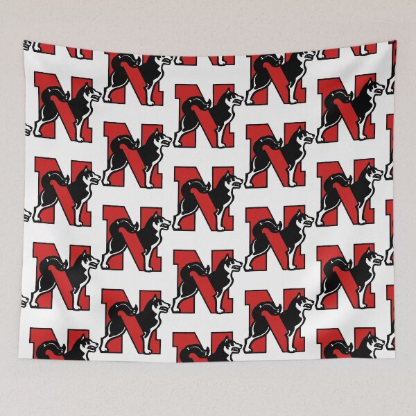 Item preview, Northeastern University Special Series 03, northeastern huskies designed and sold by amarch-elled.