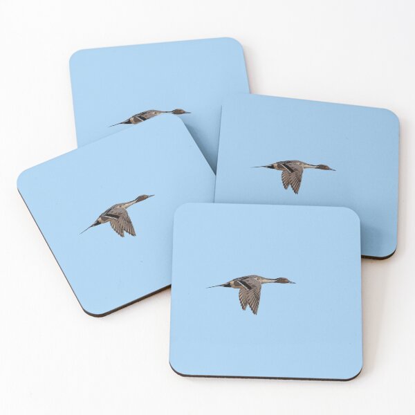 Item preview, Northern Pintail Color Design  designed and sold by designsasstultd.