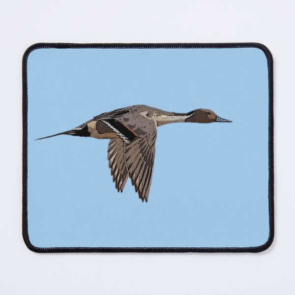Item preview, Northern Pintail Color Design designed and sold by designsasstultd.