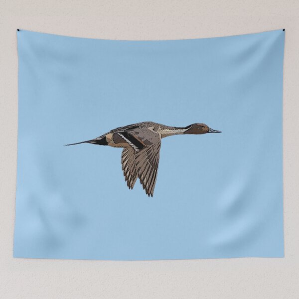 Item preview, Northern Pintail Color Design  designed and sold by designsasstultd.