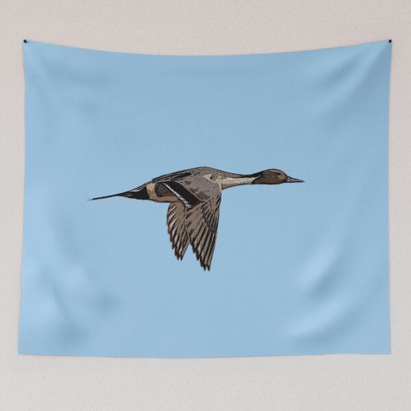 Item preview,  Northern Pintail Black Alternate Design  designed and sold by designsasstultd.