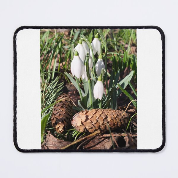 Item preview, White snowdrops designed and sold by lusiakotowska.
