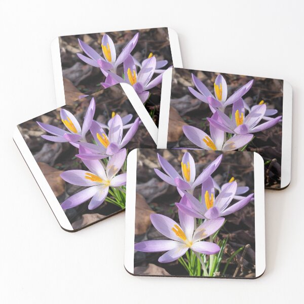 Item preview, Violet crocuses designed and sold by lusiakotowska.