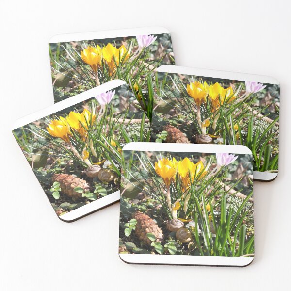 Item preview, Yellow crocuses designed and sold by lusiakotowska.
