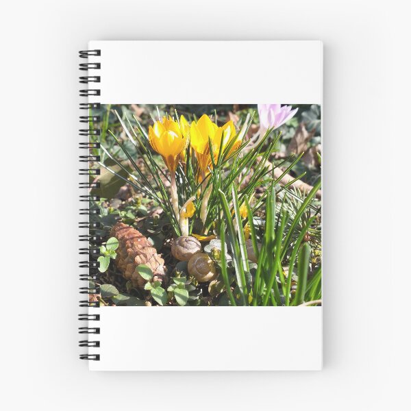 Item preview, Yellow crocuses designed and sold by lusiakotowska.