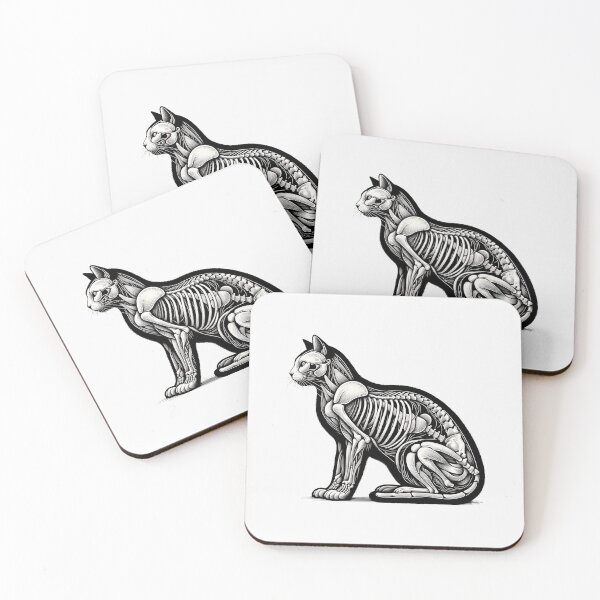 Item preview, cat anatomy designed and sold by wizooo411.