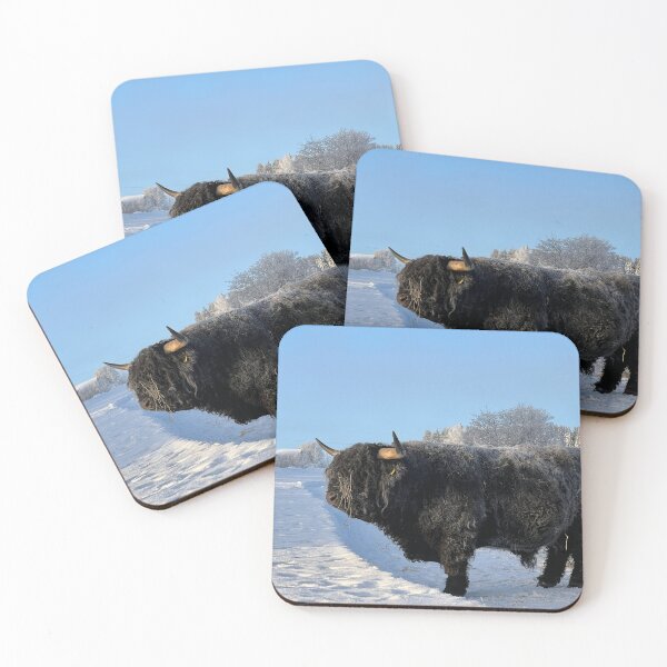 Item preview, Scottish Highland Cattle Bull 4743 designed and sold by SaarelaHighland.