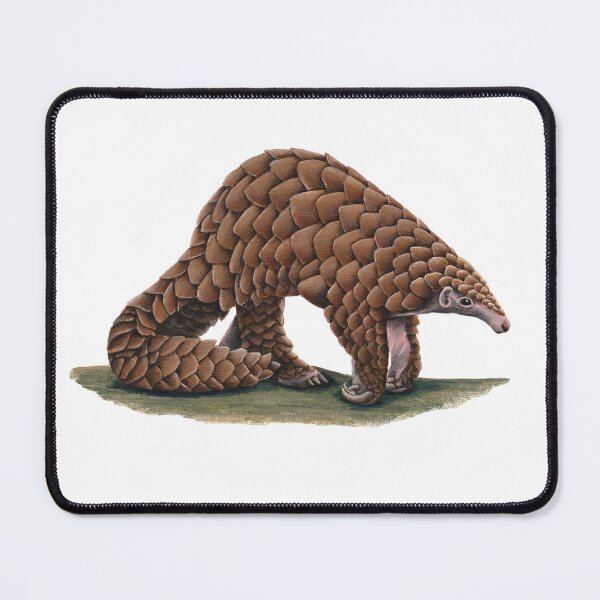 Item preview, Indian Pangolin designed and sold by Chouetteplanete.