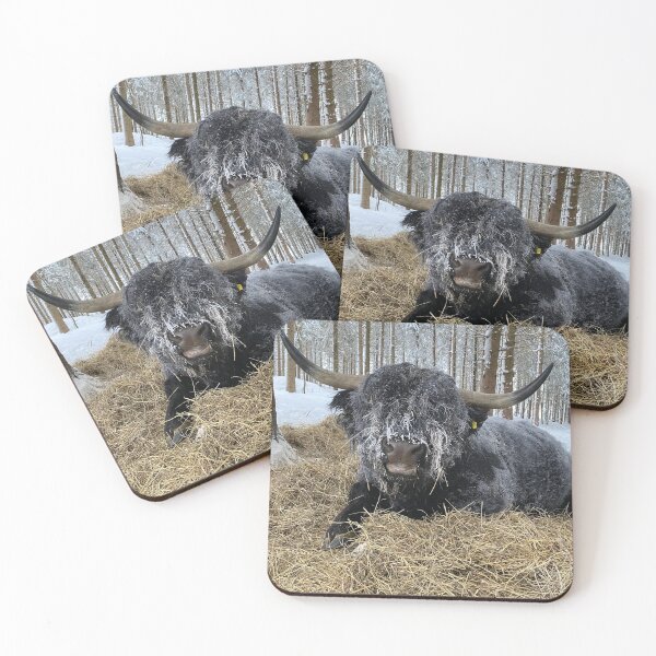 Item preview, Scottish Highland Cattle Bull 4752 designed and sold by SaarelaHighland.