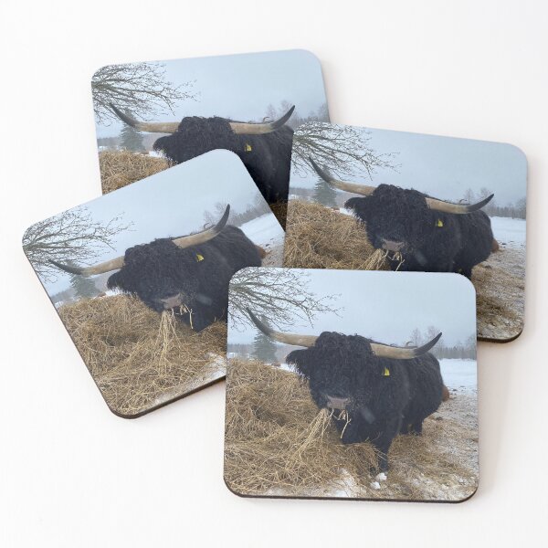 Item preview, Scottish Highland Cattle Bull 4759 designed and sold by SaarelaHighland.