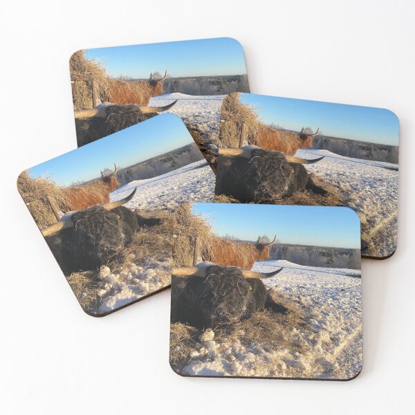 Item preview, Scottish Highland Cattle Bull 4763 designed and sold by SaarelaHighland.