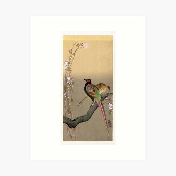 Pheasants and Cherry Blossoms by Koson Art Print
