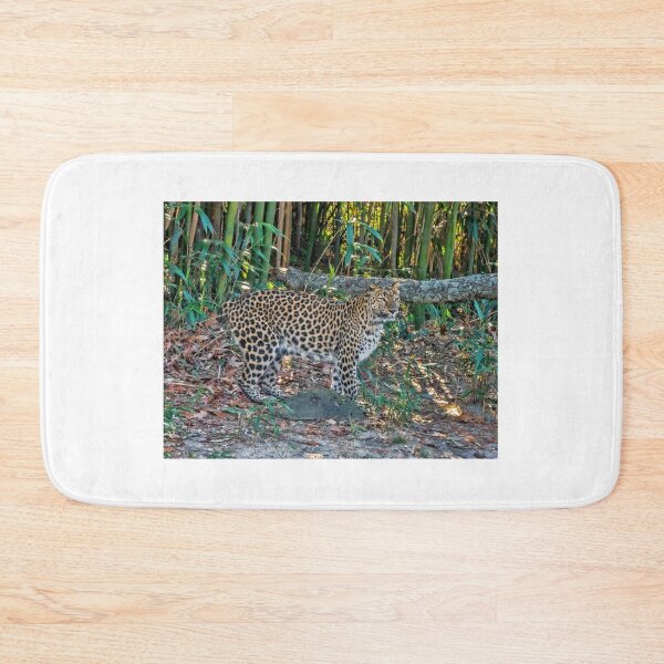 Item preview, Big Cat  designed and sold by Lanis Rossi.
