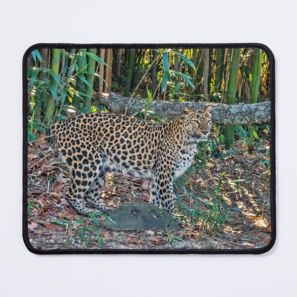 Item preview, Big Cat  designed and sold by Lanis Rossi.