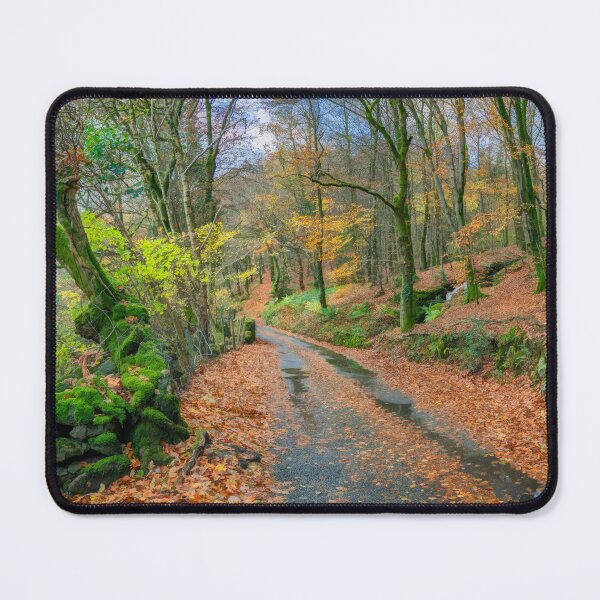 Item preview, Autumn Forest Snowdonia designed and sold by AJEvans.