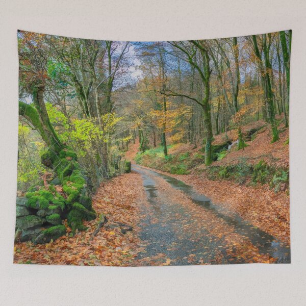 Item preview, Autumn Forest Snowdonia designed and sold by AJEvans.