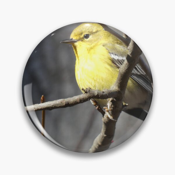 Item preview, Pine Warbler in Sunshine designed and sold by Birds-by-Bovi.