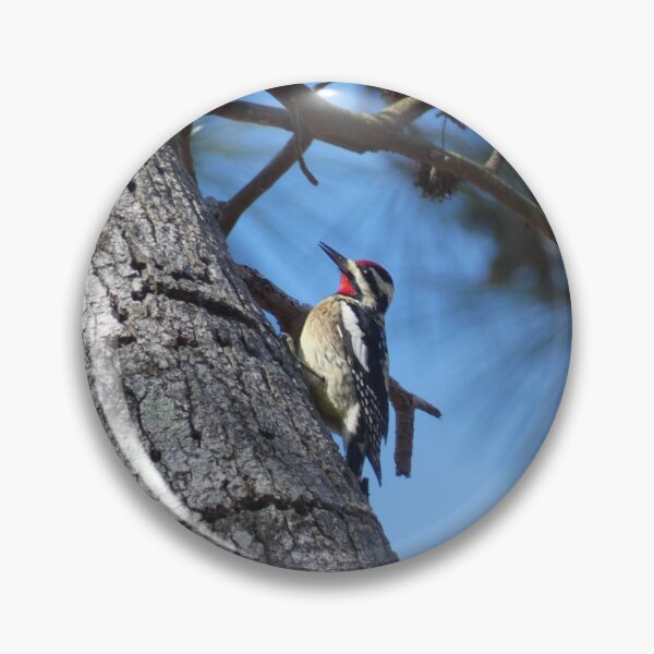 Item preview, Yellow-bellied Sapsucker designed and sold by Birds-by-Bovi.